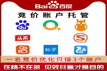 百度竞价推广代运营助力电商行业案例